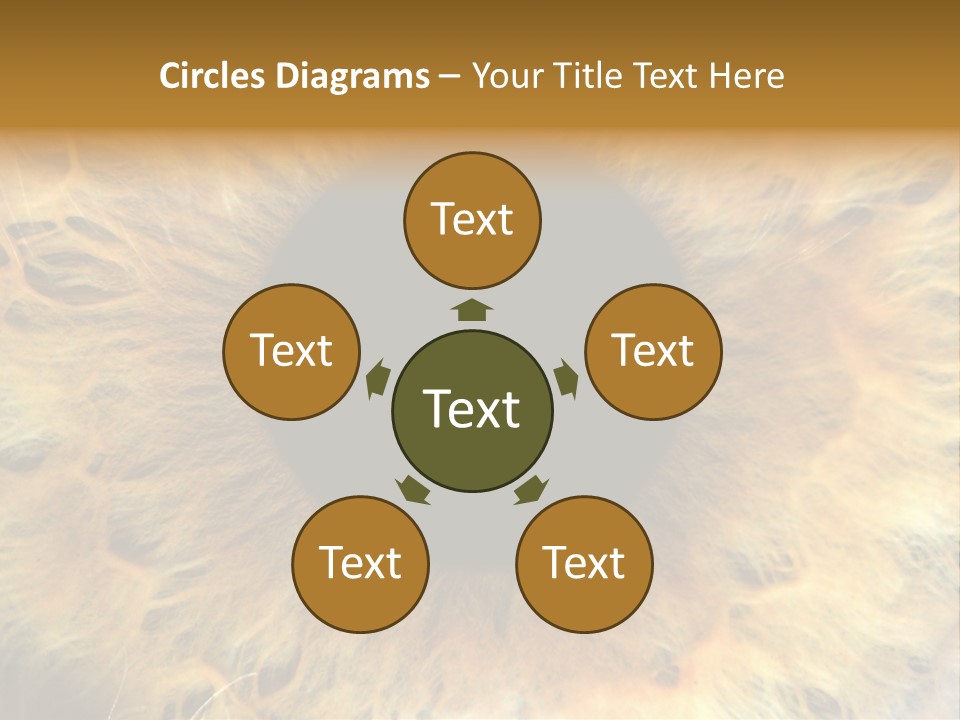 Ornament Isolated Object PowerPoint Template