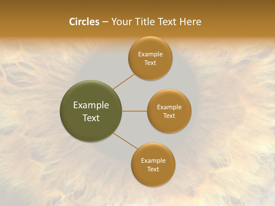 Ornament Isolated Object PowerPoint Template