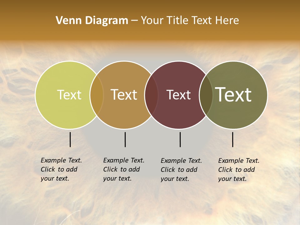 Ornament Isolated Object PowerPoint Template