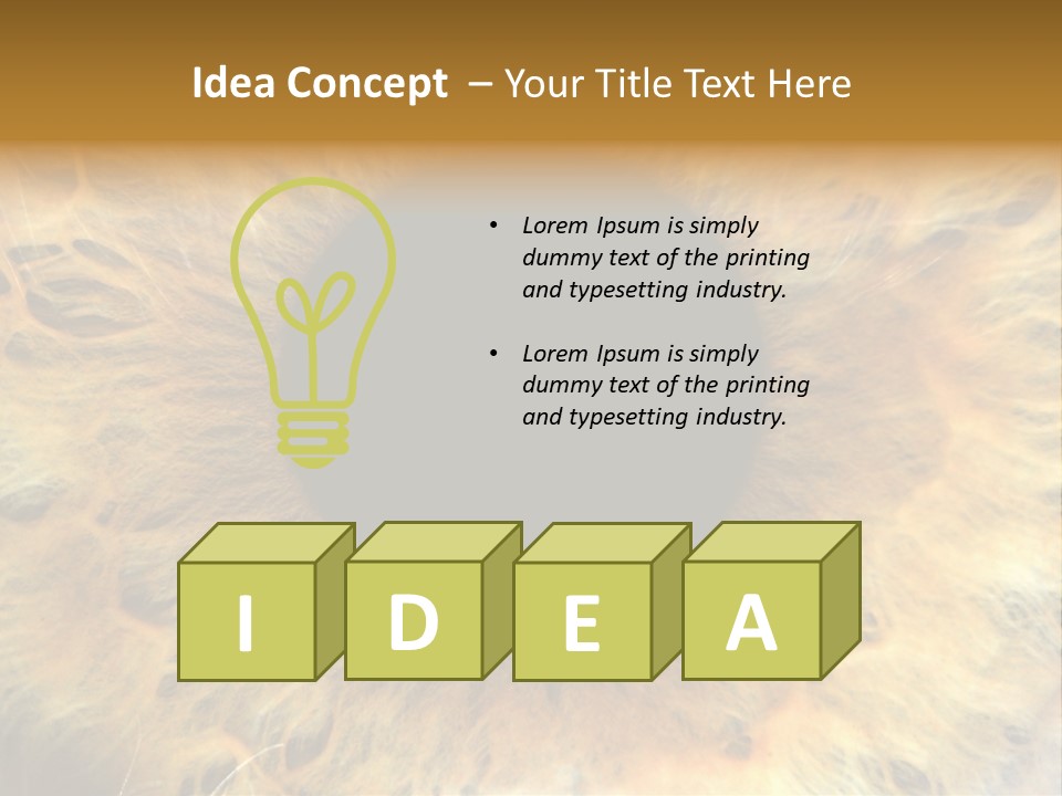 Ornament Isolated Object PowerPoint Template