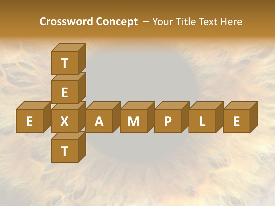 Ornament Isolated Object PowerPoint Template