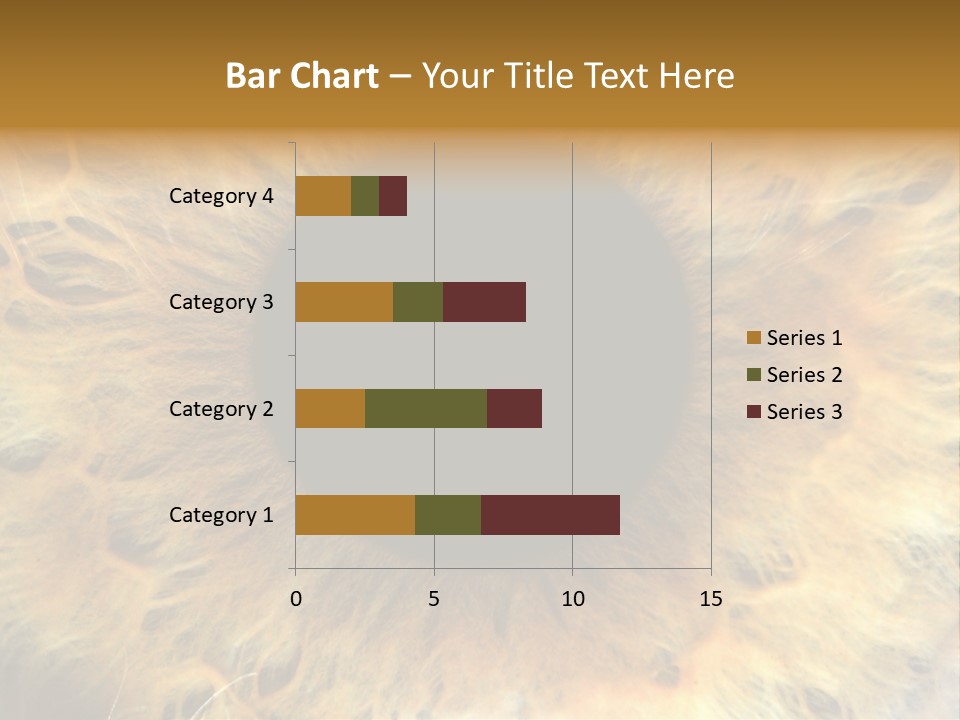 Ornament Isolated Object PowerPoint Template