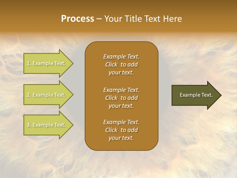 Ornament Isolated Object PowerPoint Template