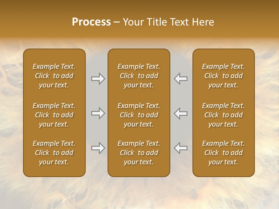 Ornament Isolated Object PowerPoint Template