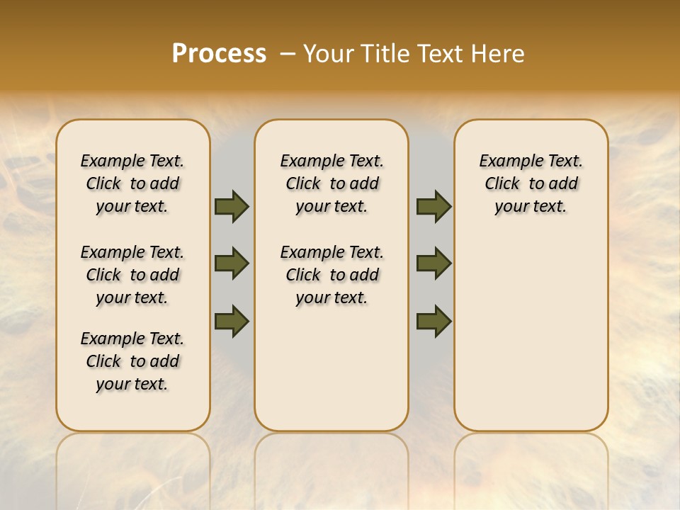 Ornament Isolated Object PowerPoint Template