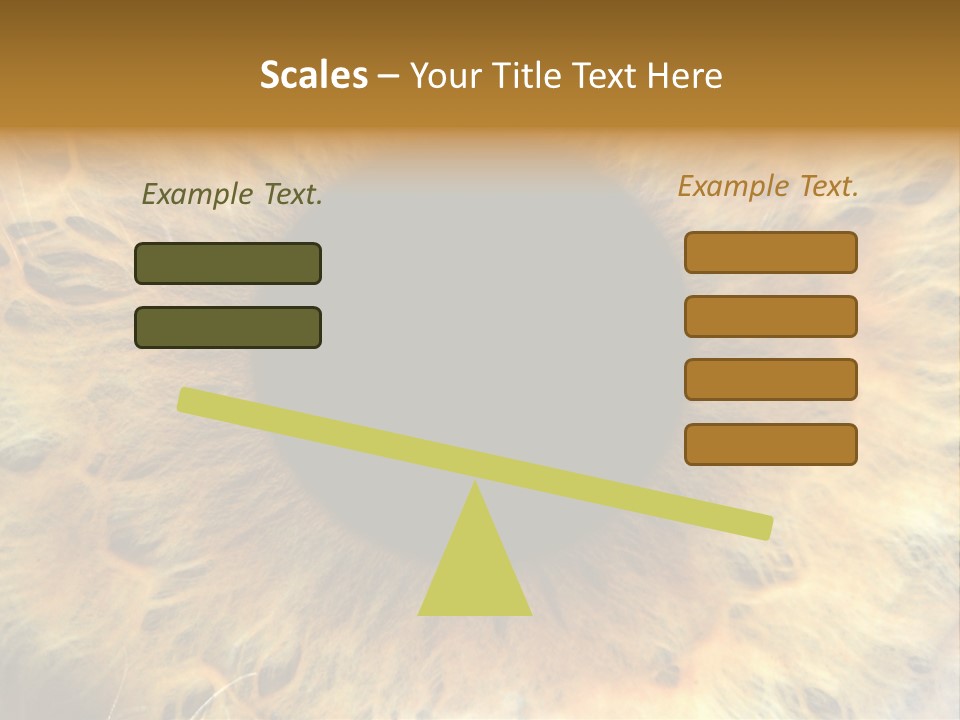 Ornament Isolated Object PowerPoint Template