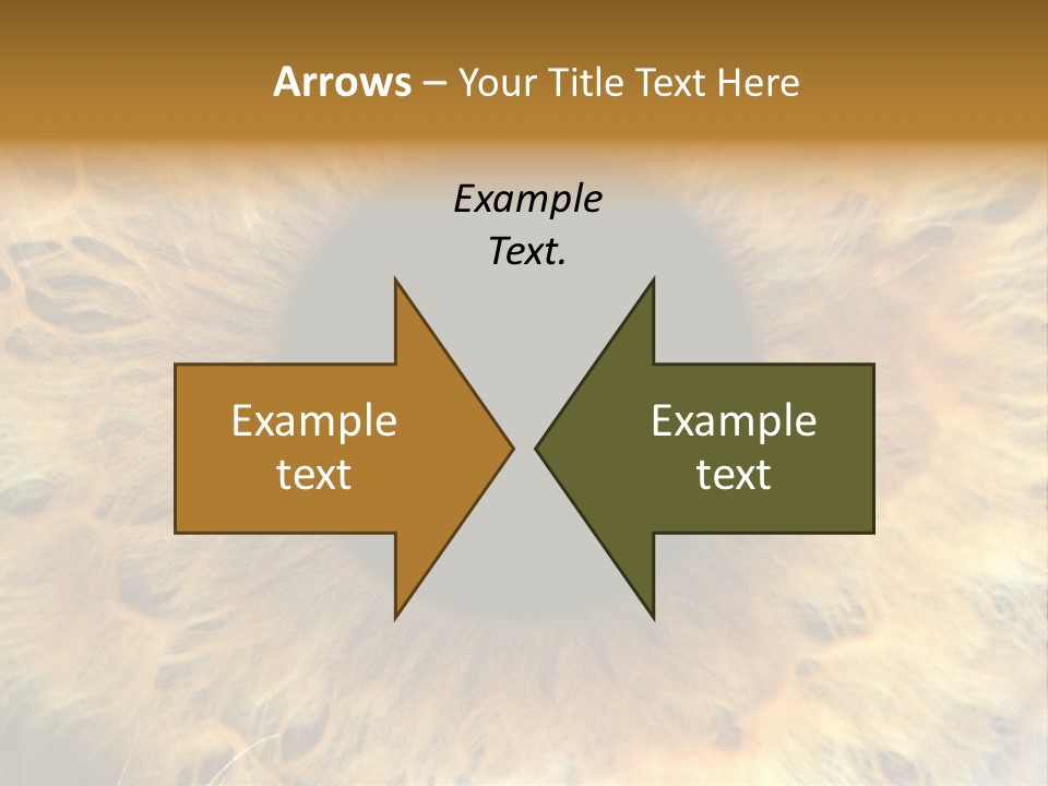 Ornament Isolated Object PowerPoint Template