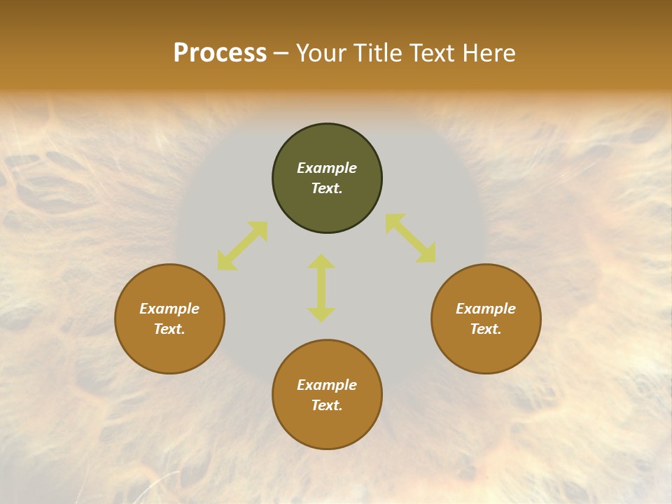 Ornament Isolated Object PowerPoint Template