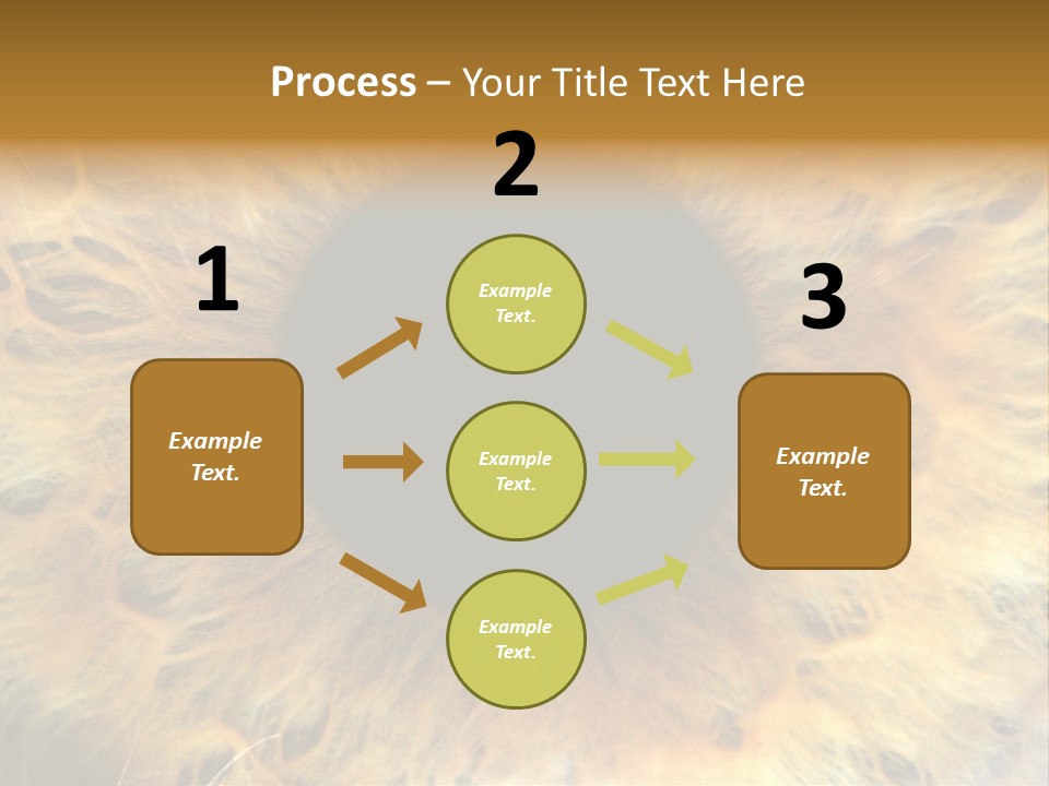 Ornament Isolated Object PowerPoint Template