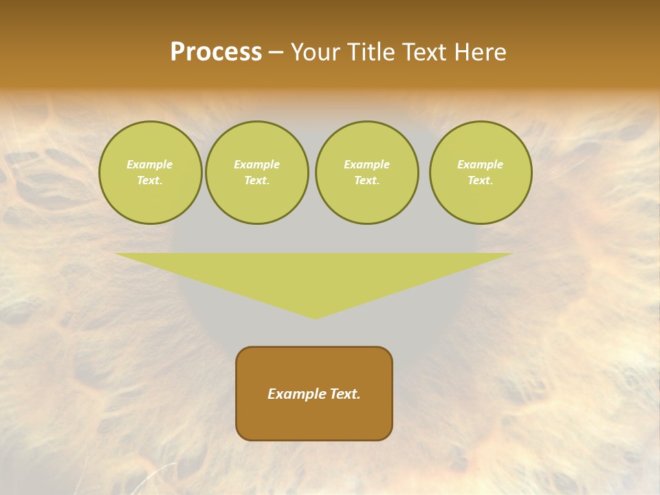 Ornament Isolated Object PowerPoint Template