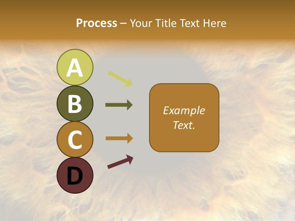 Ornament Isolated Object PowerPoint Template