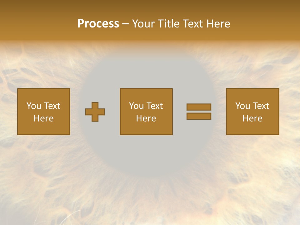 Ornament Isolated Object PowerPoint Template