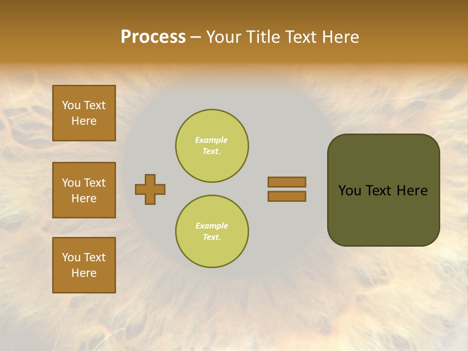 Ornament Isolated Object PowerPoint Template
