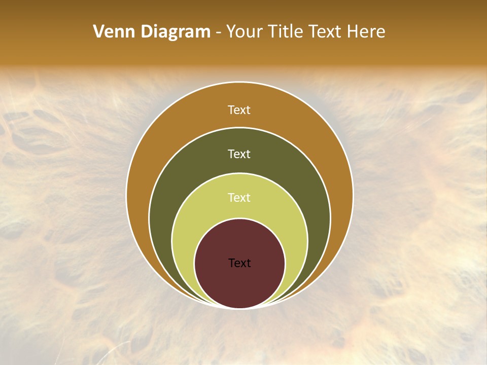 Ornament Isolated Object PowerPoint Template