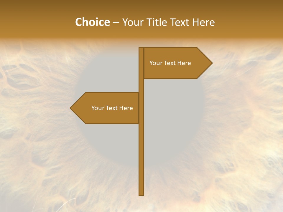 Ornament Isolated Object PowerPoint Template