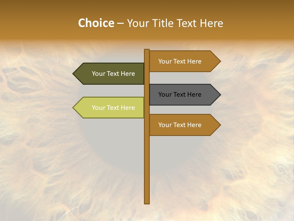Ornament Isolated Object PowerPoint Template