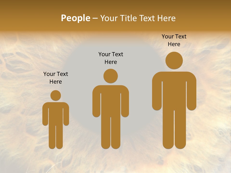 Ornament Isolated Object PowerPoint Template