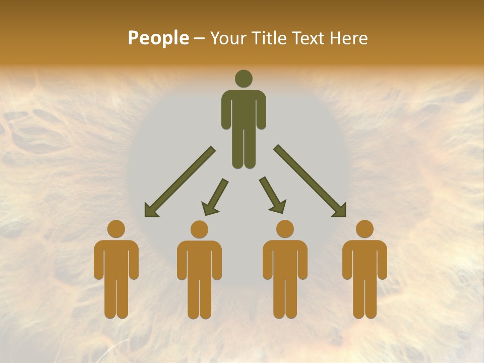 Ornament Isolated Object PowerPoint Template