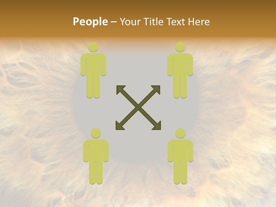 Ornament Isolated Object PowerPoint Template