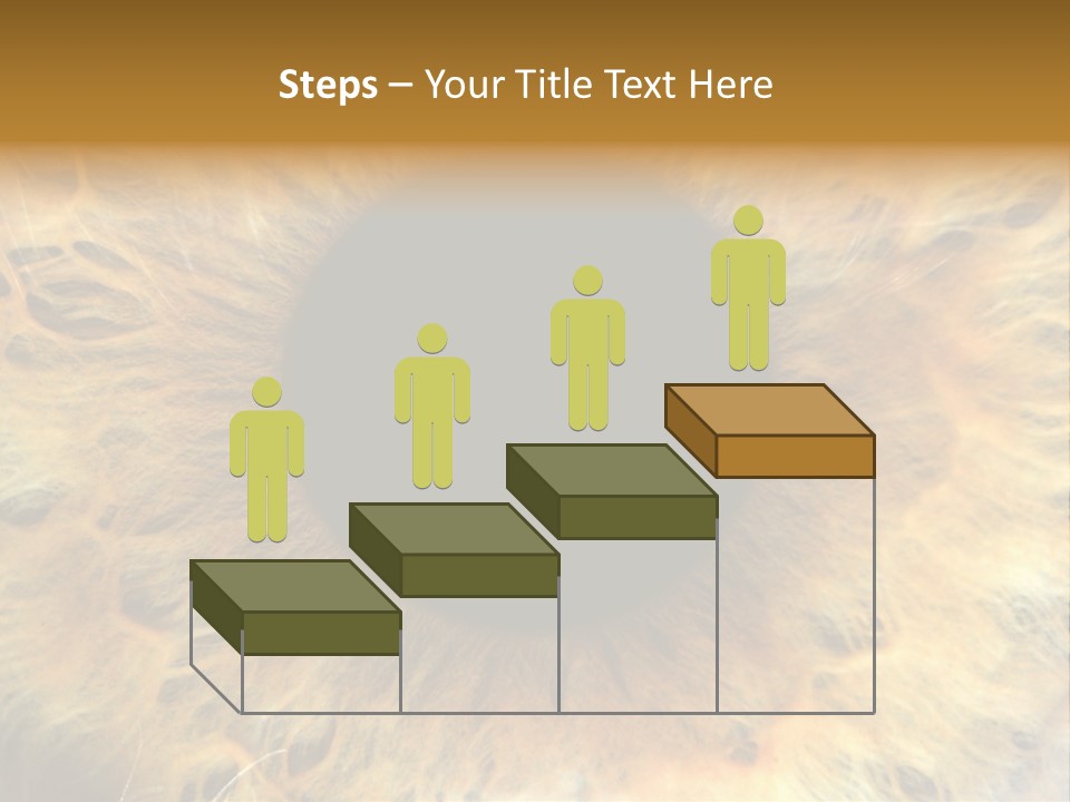 Ornament Isolated Object PowerPoint Template