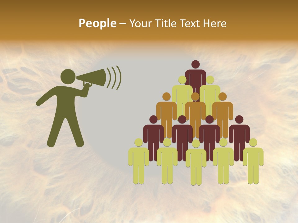 Ornament Isolated Object PowerPoint Template