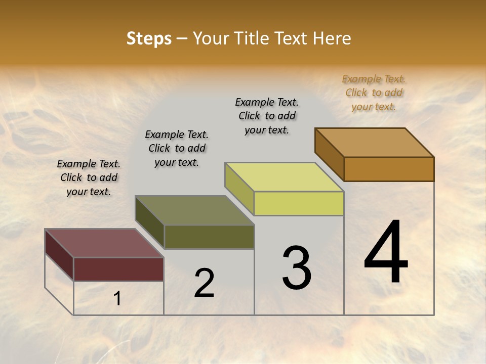 Ornament Isolated Object PowerPoint Template