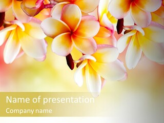 Perfume Polynesian Composition PowerPoint Template