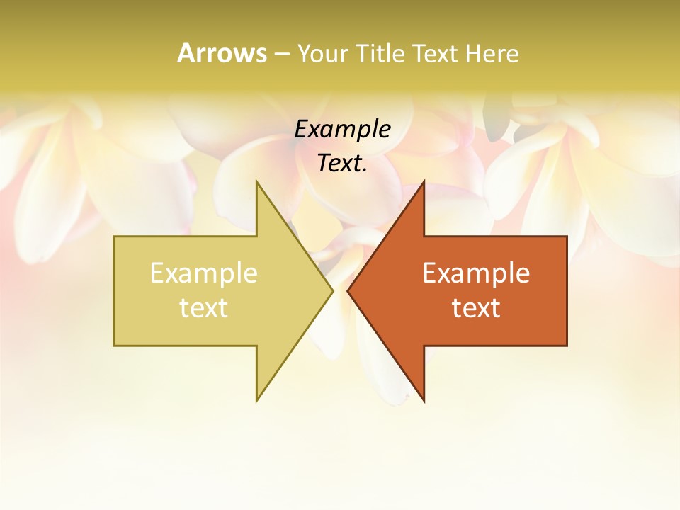 Perfume Polynesian Composition PowerPoint Template