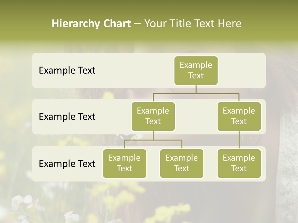 Objects Salt Shaker European Cuisine PowerPoint Template