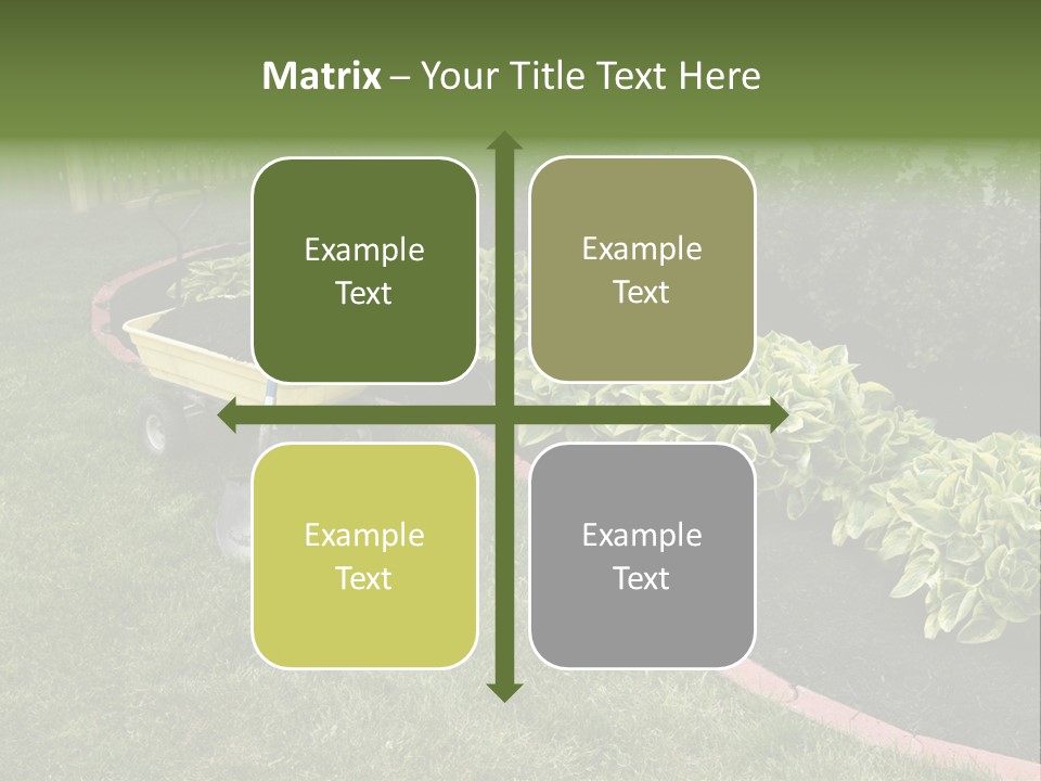 Shredded Birch Grow PowerPoint Template