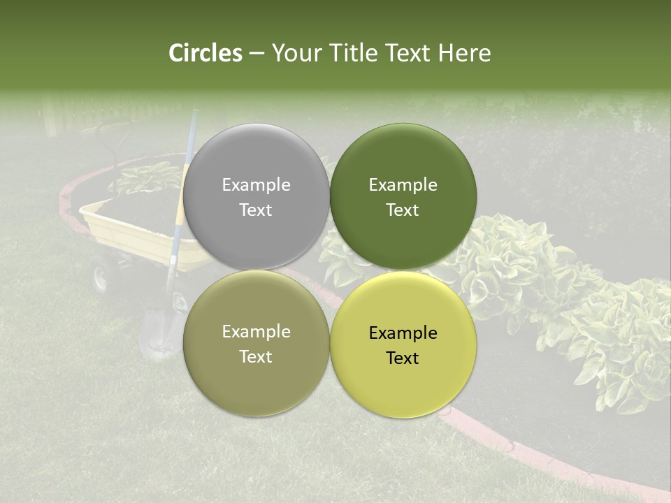 Shredded Birch Grow PowerPoint Template