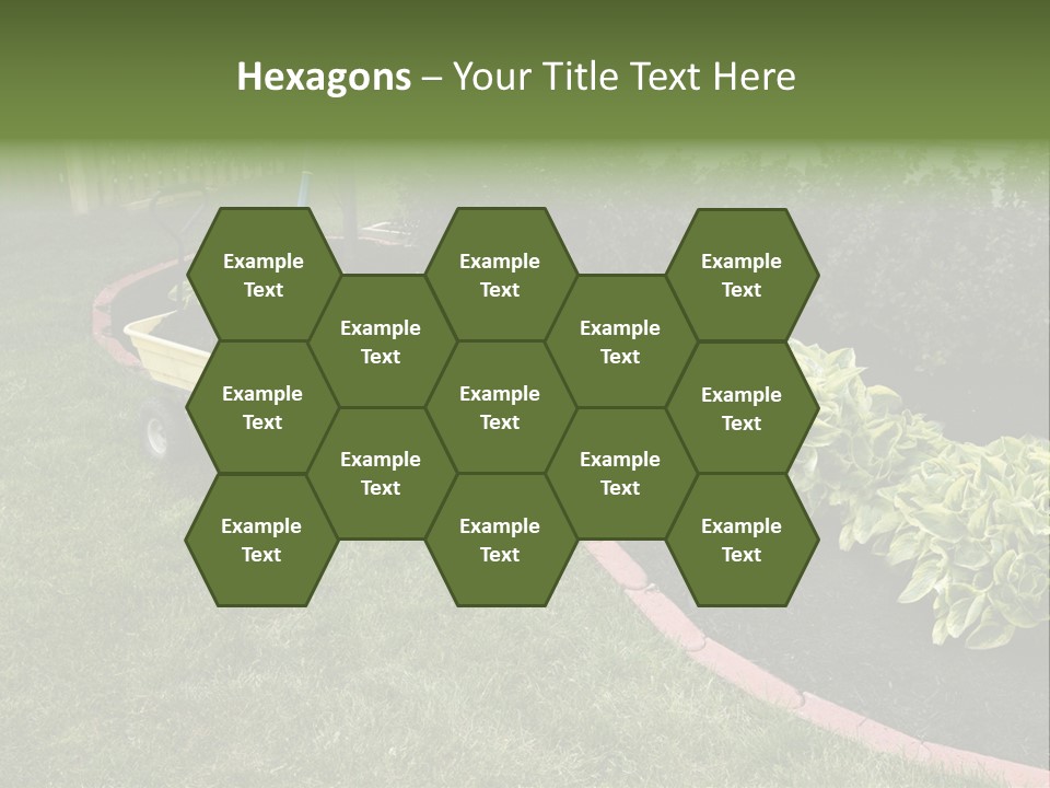 Shredded Birch Grow PowerPoint Template