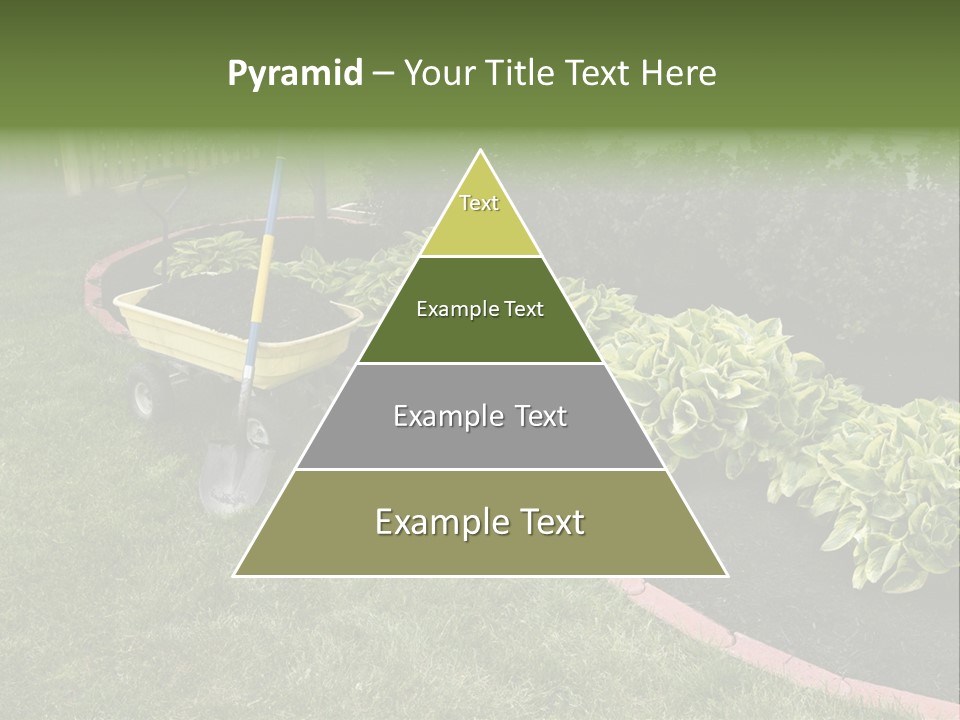 Shredded Birch Grow PowerPoint Template