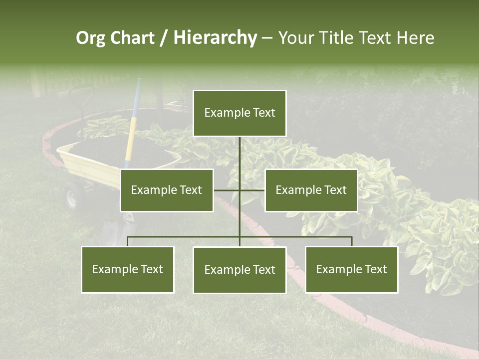 Shredded Birch Grow PowerPoint Template