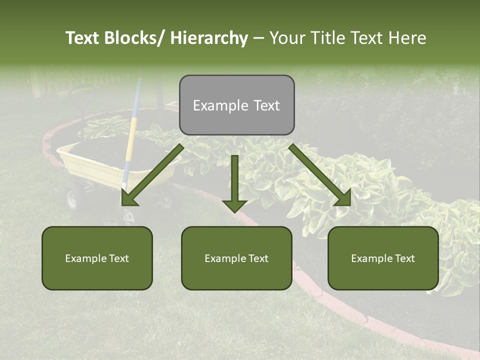 Shredded Birch Grow PowerPoint Template