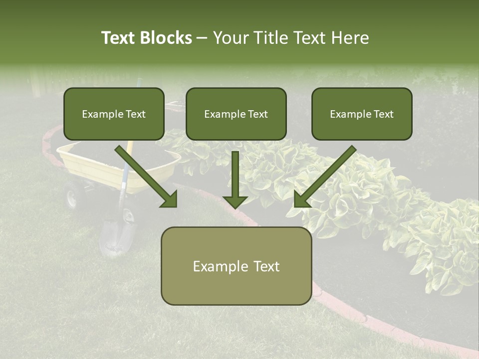 Shredded Birch Grow PowerPoint Template