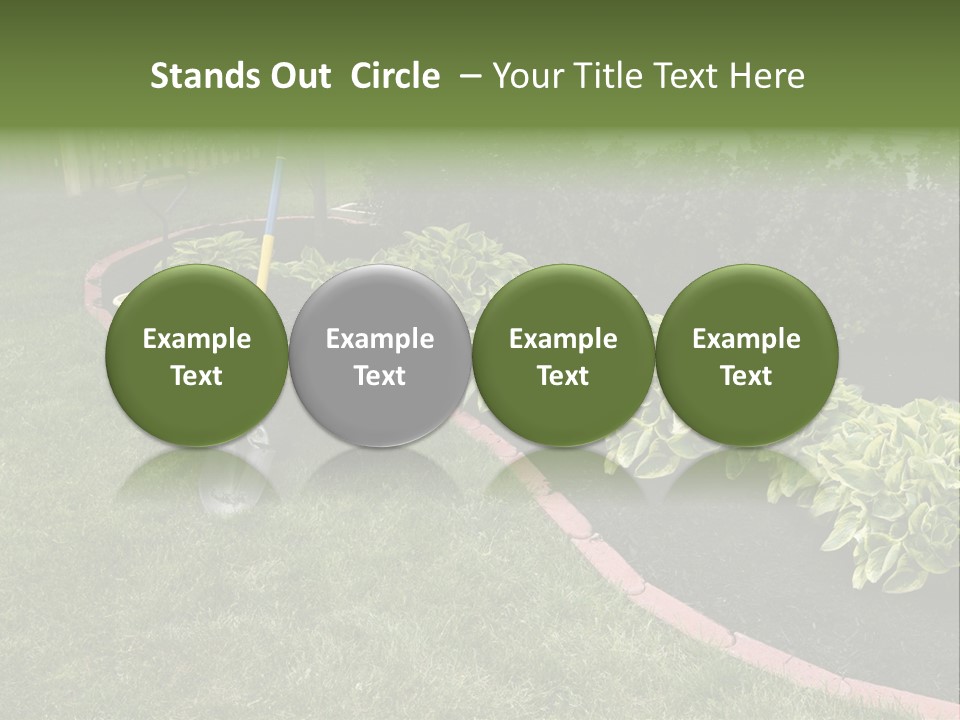 Shredded Birch Grow PowerPoint Template