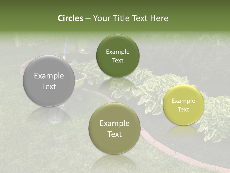 Shredded Birch Grow PowerPoint Template