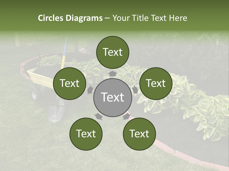 Shredded Birch Grow PowerPoint Template