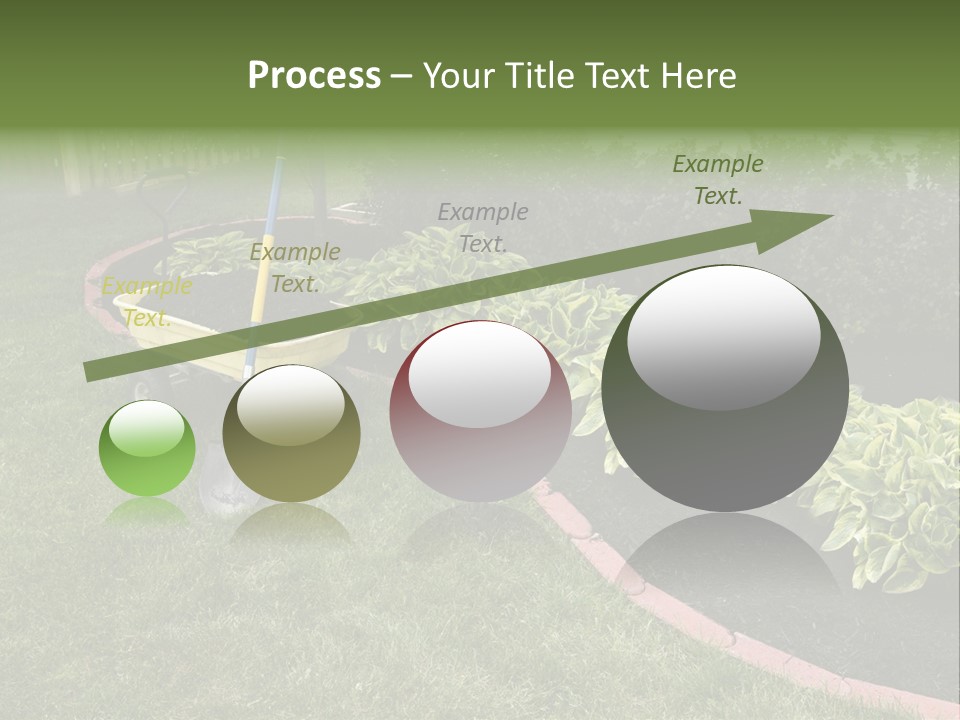 Shredded Birch Grow PowerPoint Template