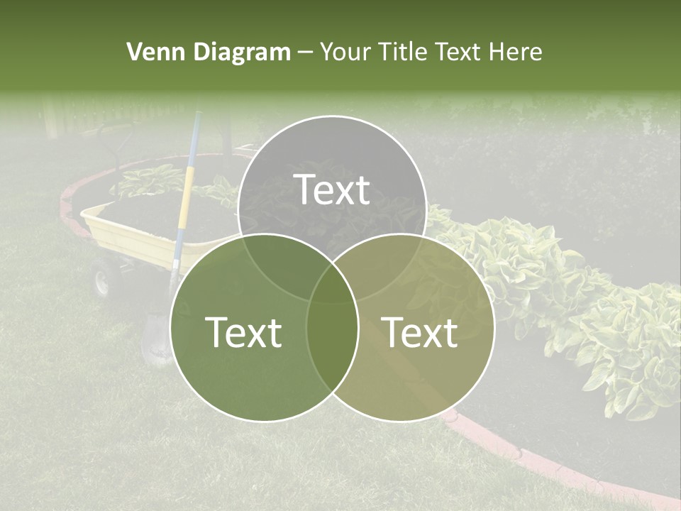 Shredded Birch Grow PowerPoint Template