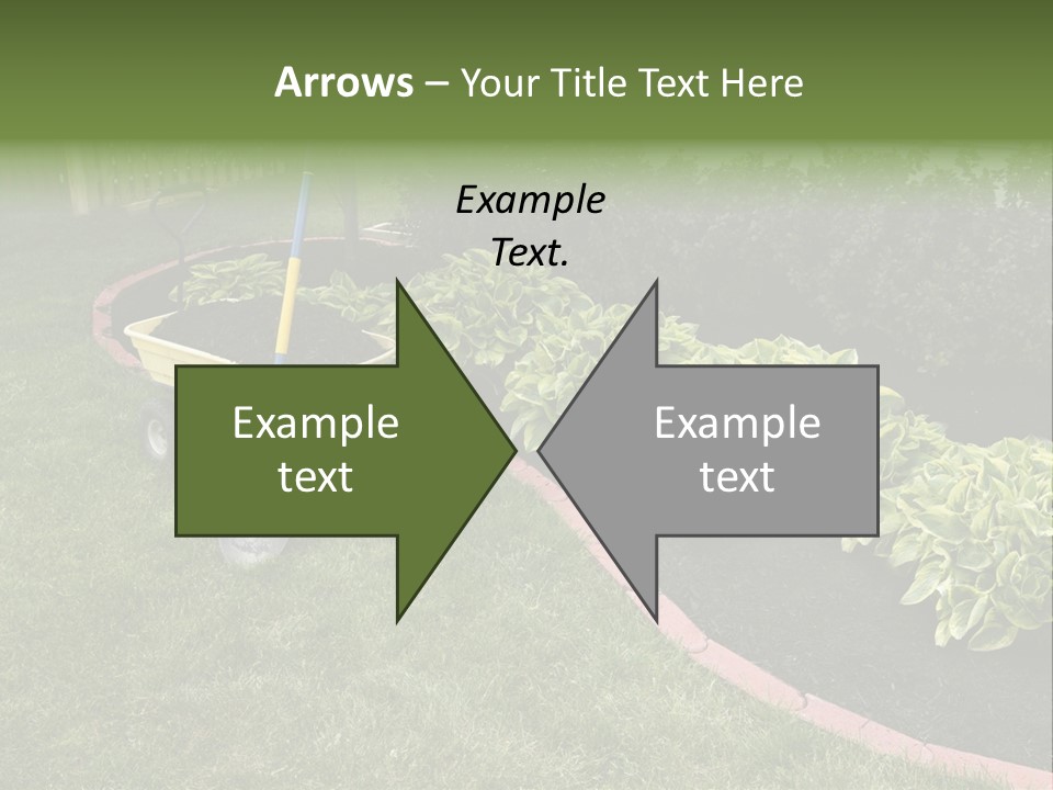 Shredded Birch Grow PowerPoint Template