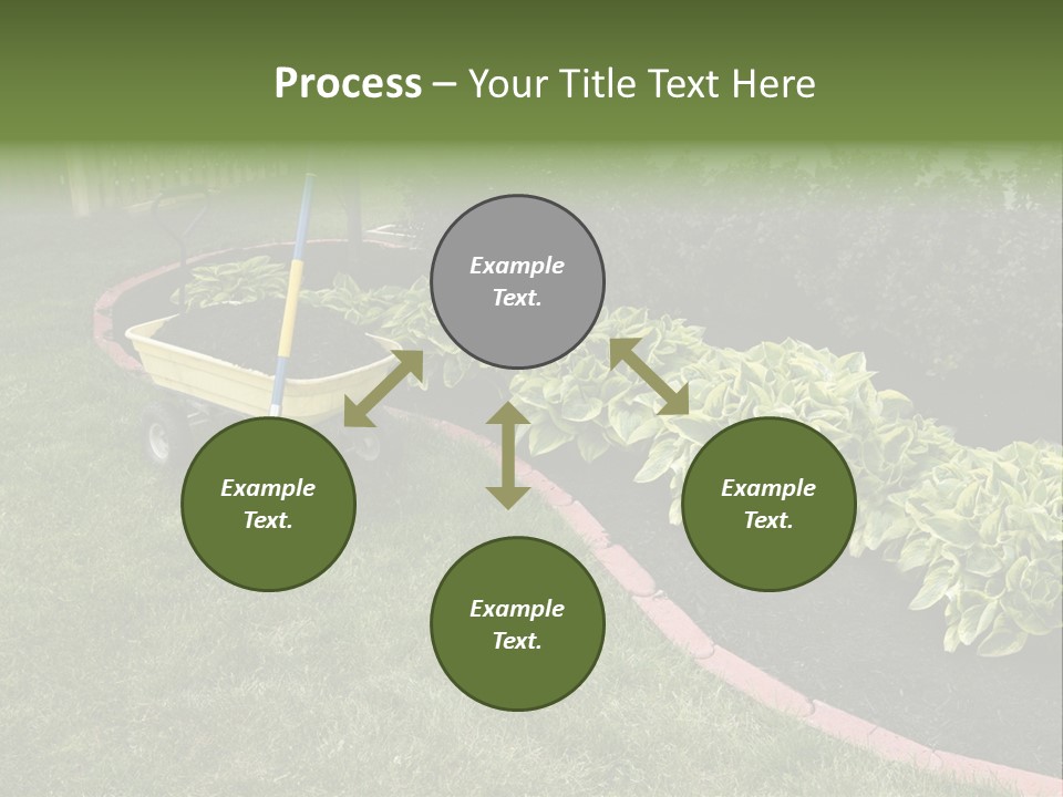Shredded Birch Grow PowerPoint Template