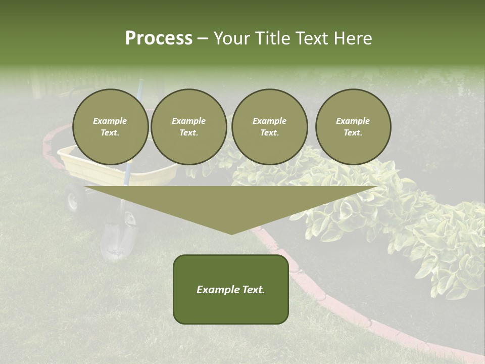 Shredded Birch Grow PowerPoint Template