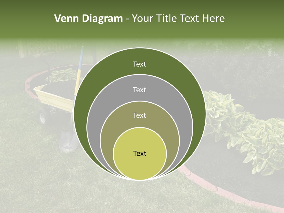 Shredded Birch Grow PowerPoint Template