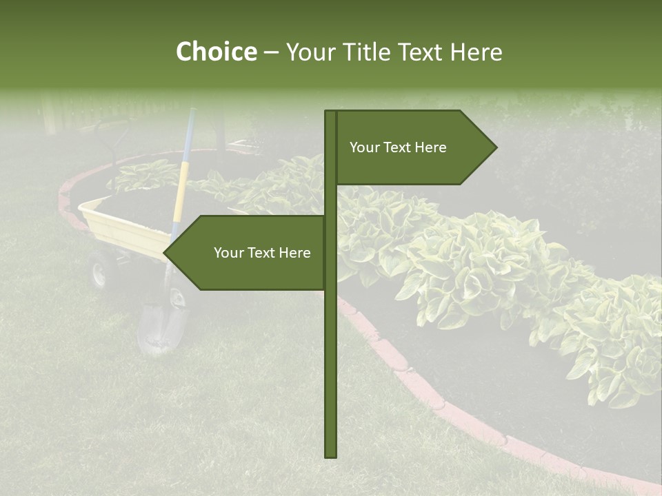 Shredded Birch Grow PowerPoint Template