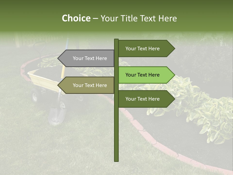 Shredded Birch Grow PowerPoint Template