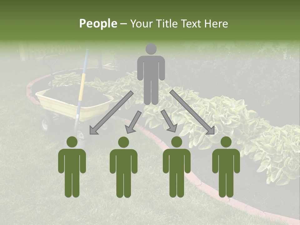 Shredded Birch Grow PowerPoint Template