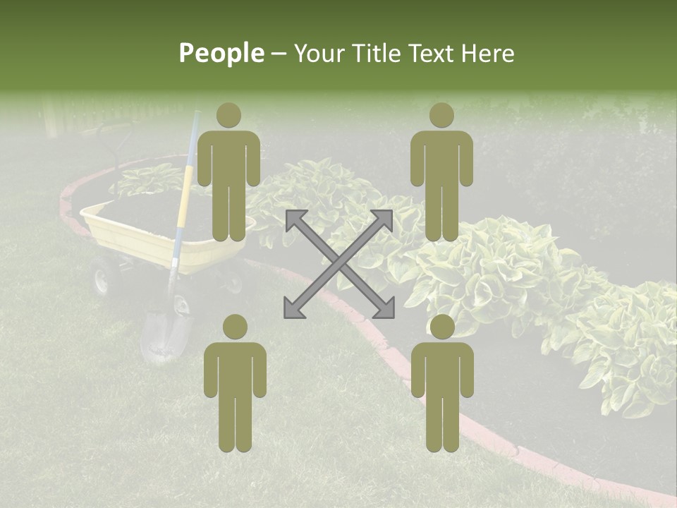 Shredded Birch Grow PowerPoint Template