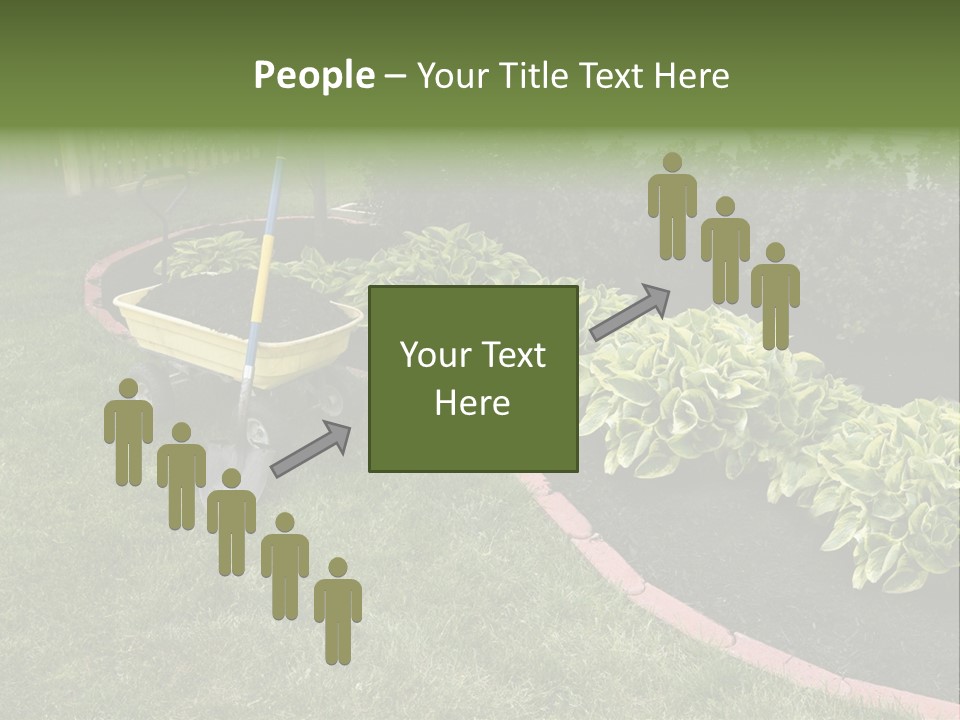 Shredded Birch Grow PowerPoint Template